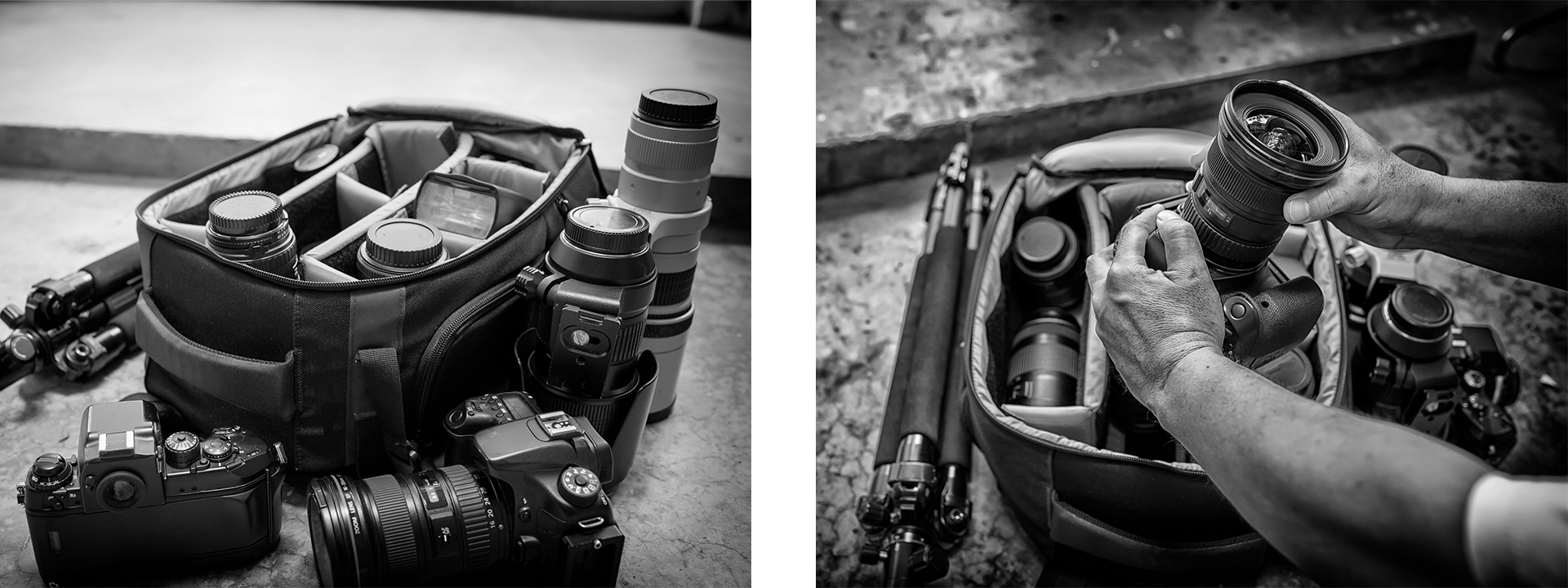 PRO Essentials Camera Bags for Professional Photographers